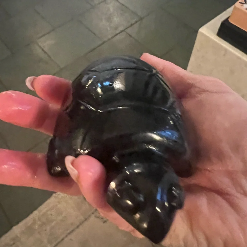 Natural Hand Carved Obsidian Black Turtle Figurine Minimalist Chic